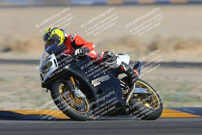 media/Feb-04-2023-SoCal Trackdays (Sat) [[8a776bf2c3]]/Turn 4 (Tree of Life 2pm)/